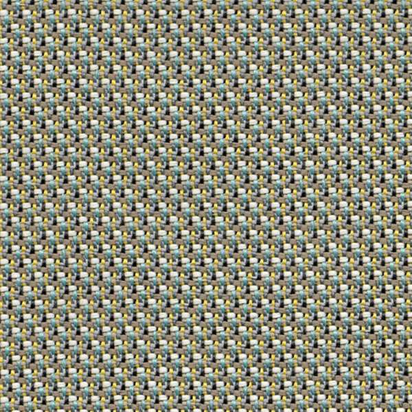 50033